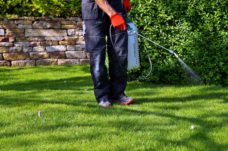 Lawn Herbicide Treatment in Aiken, SC