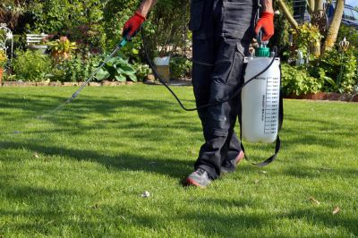 Save Time and Effort with Weed Spraying Rather Than Weed Pulling!