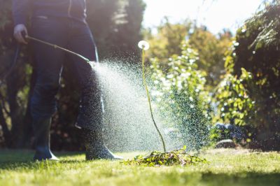 Keep Your Landscape Healthy with Weed Spraying Service!