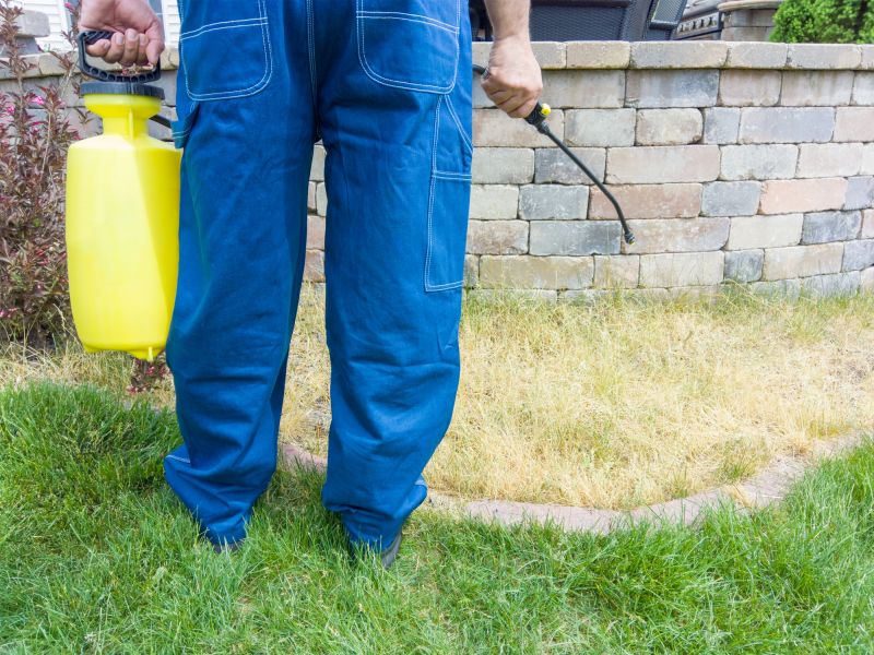 Grass Treatment in Honolulu, HI