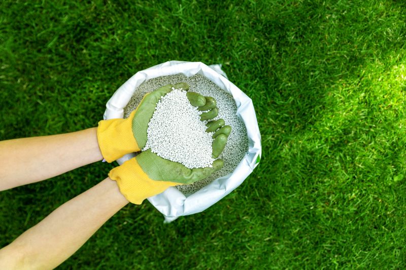 Lawn Topdressing in Honolulu, HI