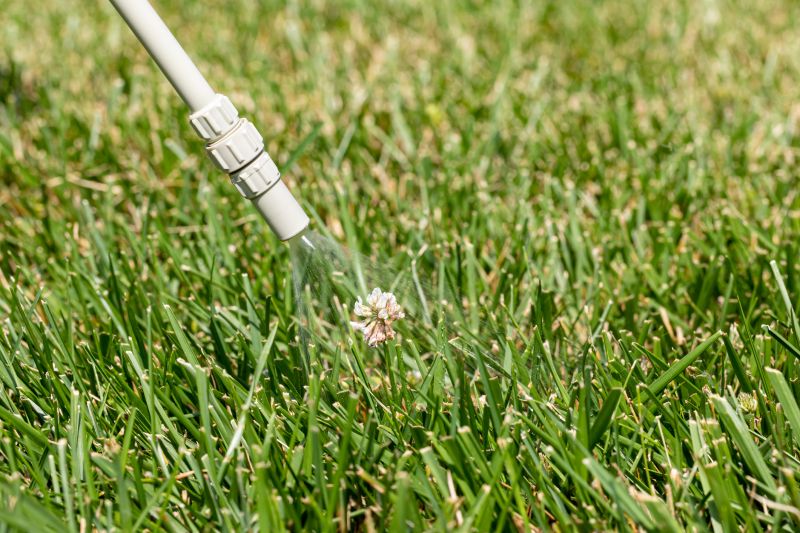 Lawn Weed Control in Ventura County, CA
