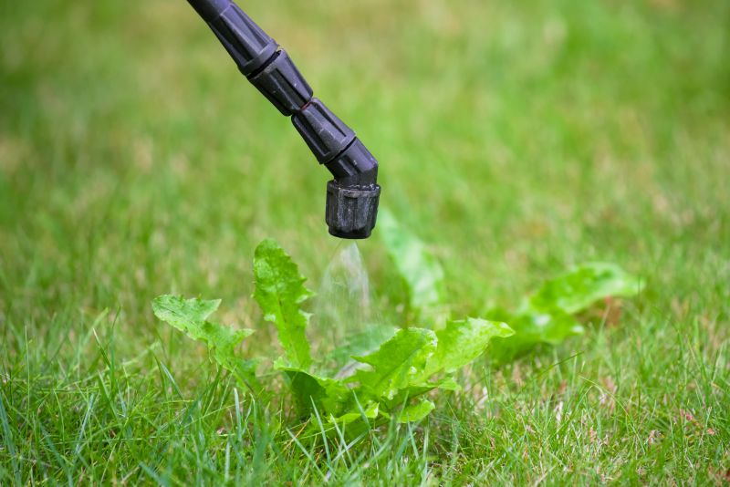 Lawn Weed Treatment in Rockwall, TX