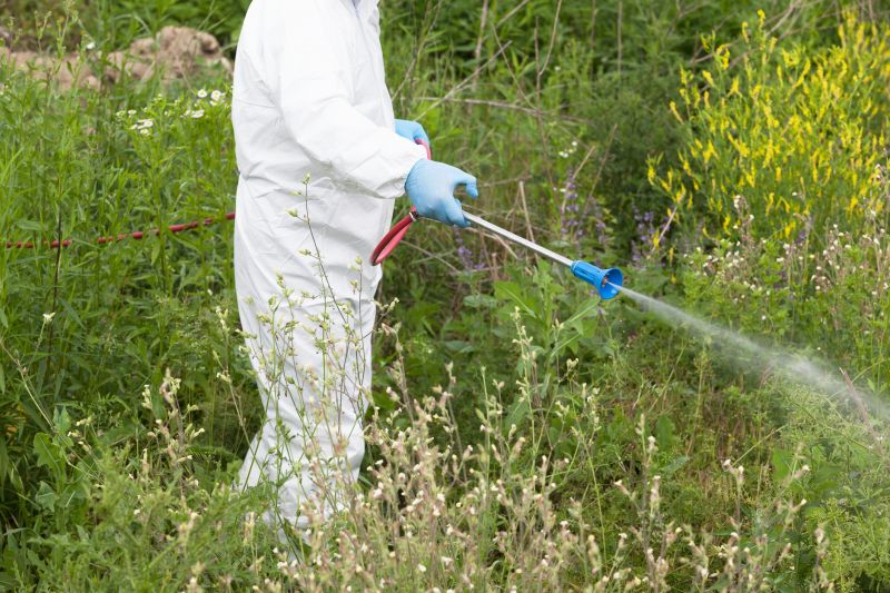 Weed Spraying