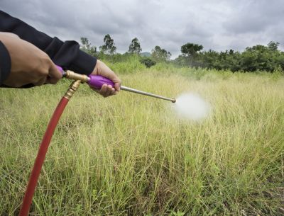 Both Residential and Commercial Weed Spraying Service!
